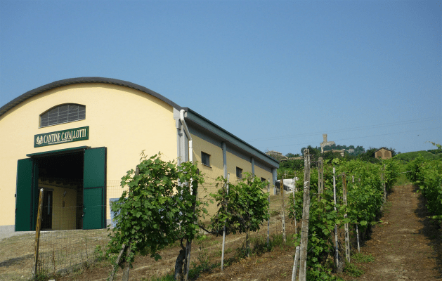 Cantine Cavallotti