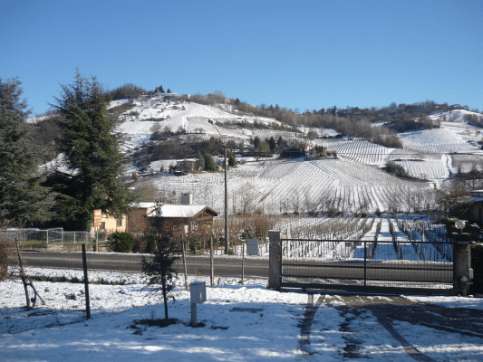 Cantine Cavallotti