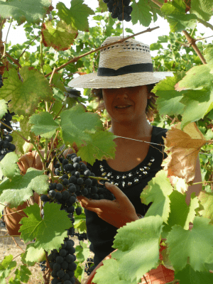 Cantine Cavallotti