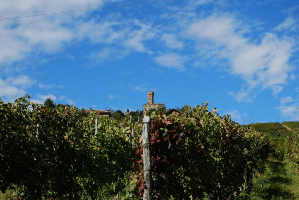 Cantine Cavallotti